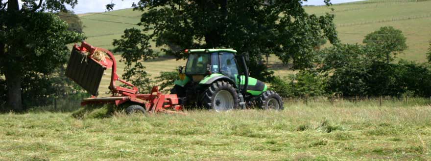 Hay Making - Cormiston Brae