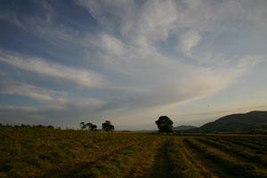 Cut Hay in the Side Field, Cormiston