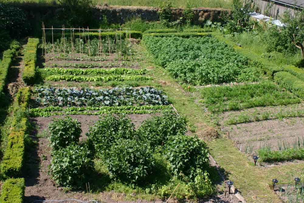 kitchen garden description